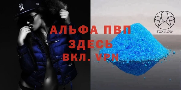 стаф Аркадак