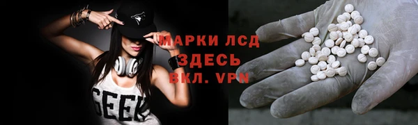 стаф Аркадак