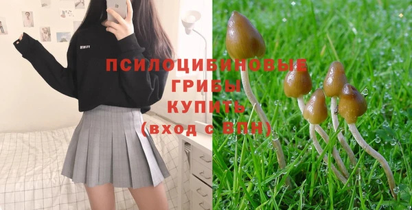 spice Арсеньев