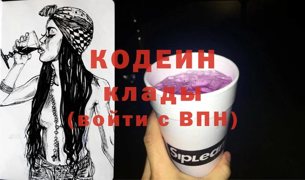стаф Аркадак