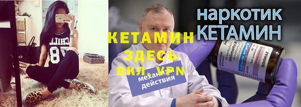 стаф Аркадак
