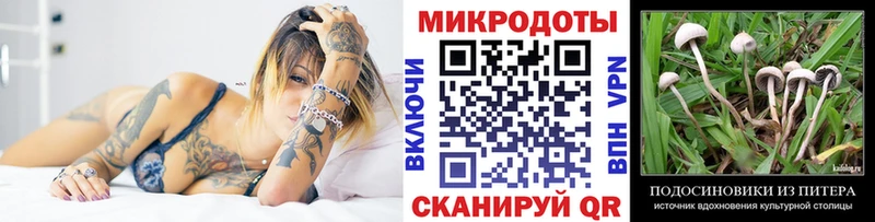 наркота  Новодвинск  Псилоцибиновые грибы Cubensis 